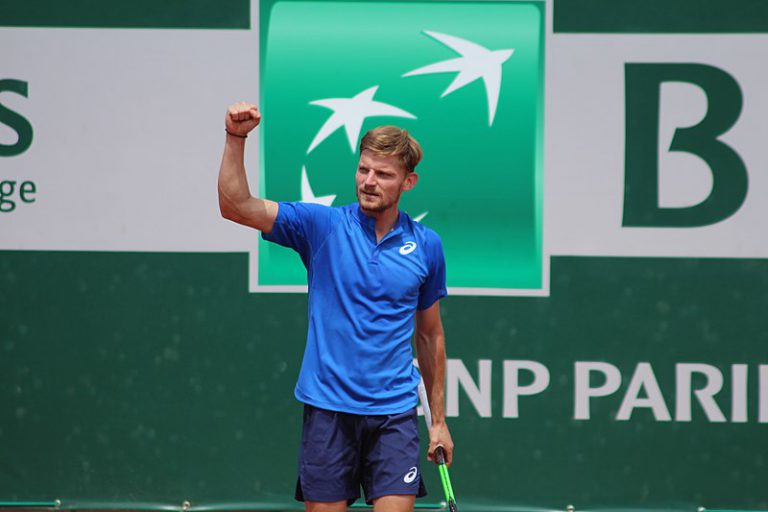 Entrer en contact avec David Goffin