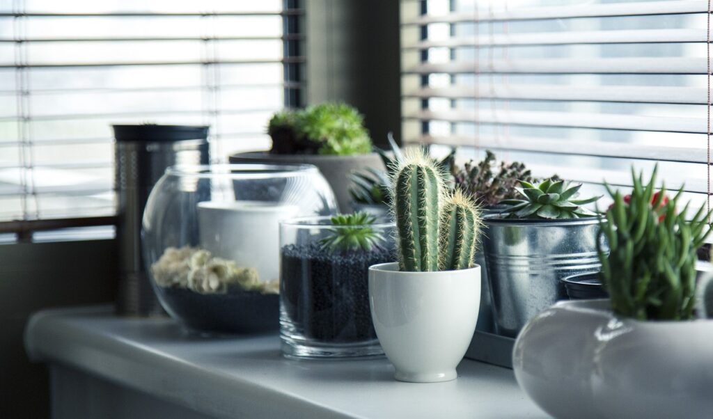 Entrer en communication avec le service client E-commerce pour des acteurs essentiels du secteur des plantes d’intérieur et des accessoires en Belgique