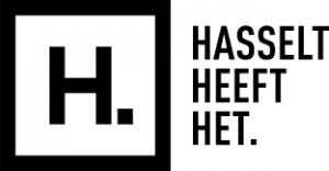 Entrer en relation avec  la ville de Hasselt